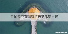 且试天下宣璐凤栖梧第几集出场