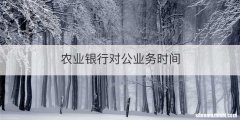 农业银行对公业务时间