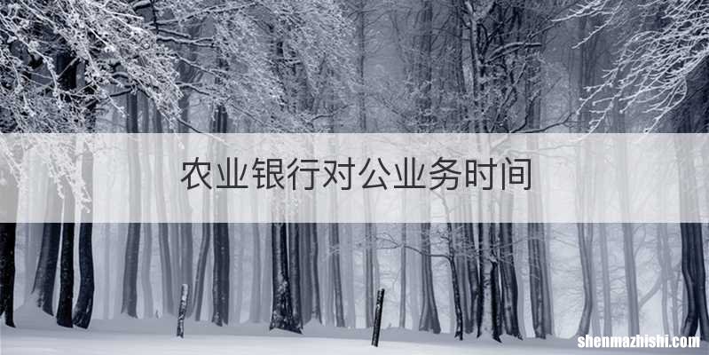 农业银行对公业务时间