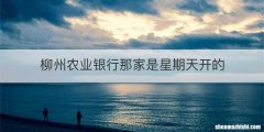 柳州农业银行那家是星期天开的