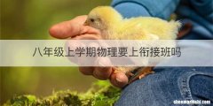八年级上学期物理要上衔接班吗