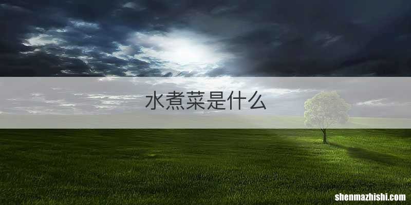 水煮菜是什么