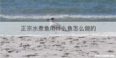 正宗水煮鱼用什么鱼怎么做的