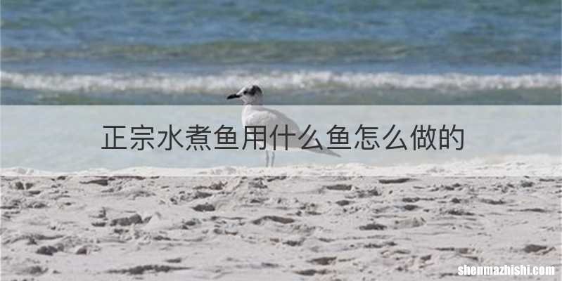 正宗水煮鱼用什么鱼怎么做的