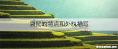 袋鼠的特点和外貌描写