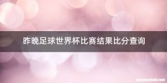 昨晚足球世界杯比赛结果比分查询