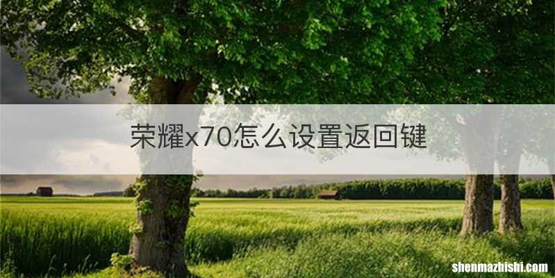 荣耀x70怎么设置返回键