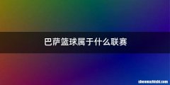 巴萨篮球属于什么联赛