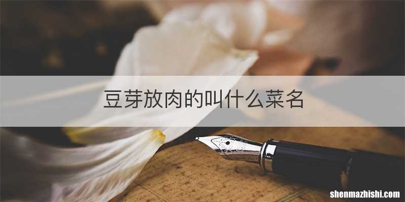 豆芽放肉的叫什么菜名