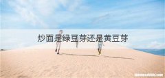 炒面是绿豆芽还是黄豆芽