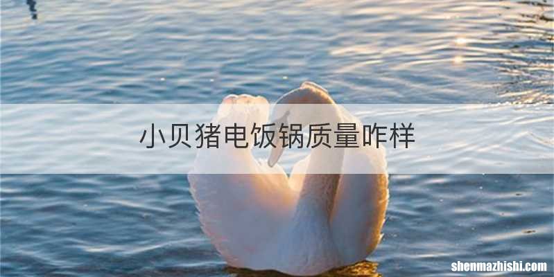 小贝猪电饭锅质量咋样
