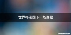 世界杯法国下一场赛程