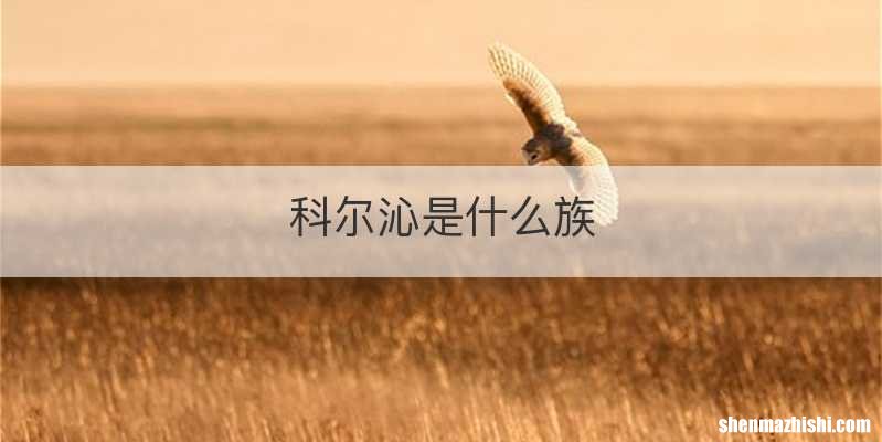 科尔沁是什么族