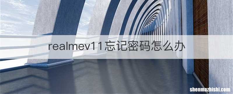 realmev11忘记密码怎么办