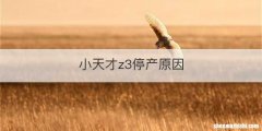 小天才z3停产原因