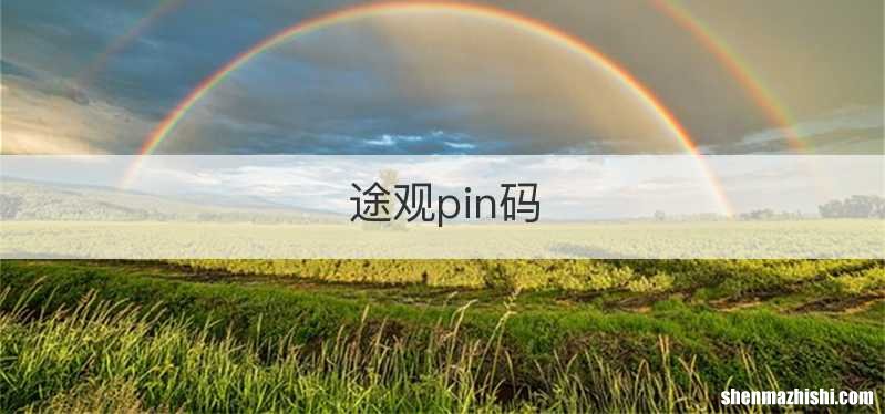 途观pin码