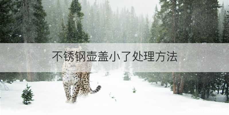 不锈钢壶盖小了处理方法