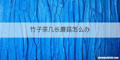 竹子茶几长蘑菇怎么办