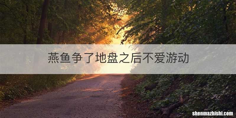 燕鱼争了地盘之后不爱游动