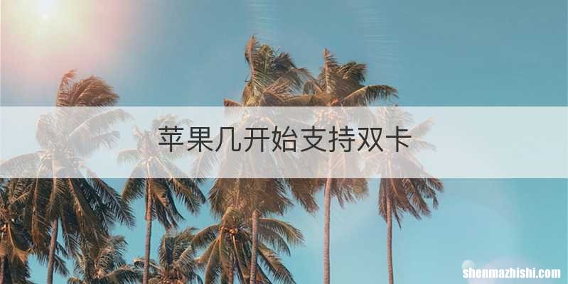 苹果几开始支持双卡