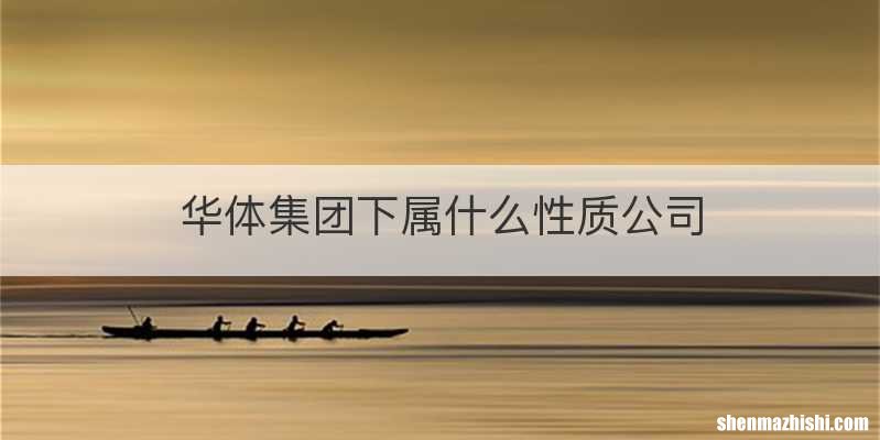 华体集团下属什么性质公司