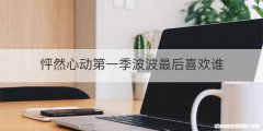 怦然心动第一季波波最后喜欢谁