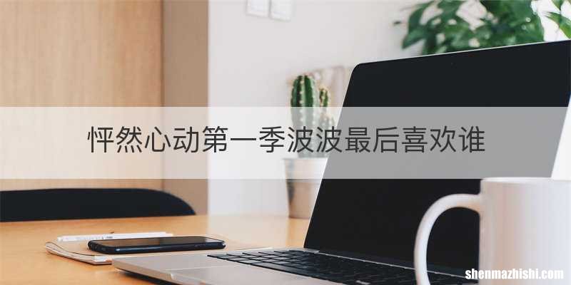 怦然心动第一季波波最后喜欢谁