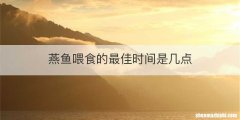 燕鱼喂食的最佳时间是几点