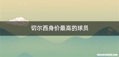切尔西身价最高的球员