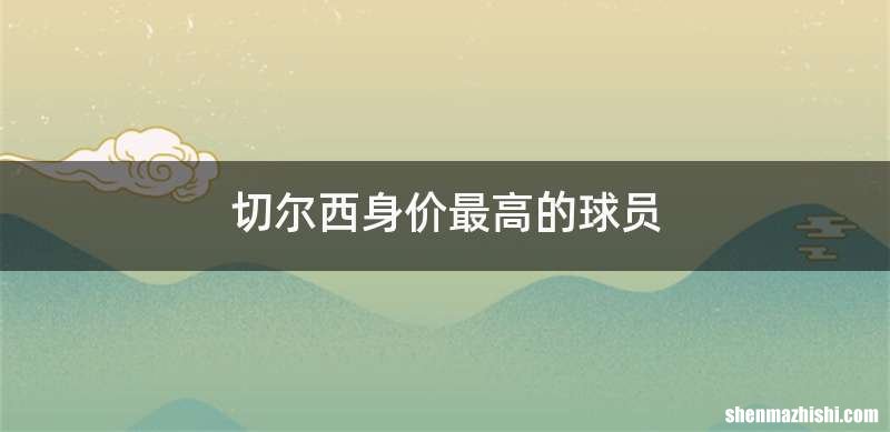 切尔西身价最高的球员
