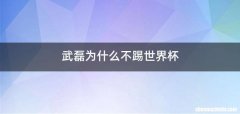 武磊为什么不踢世界杯