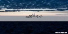 xx等于多少