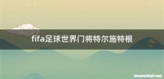 fifa足球世界门将特尔施特根