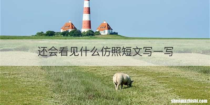 还会看见什么仿照短文写一写