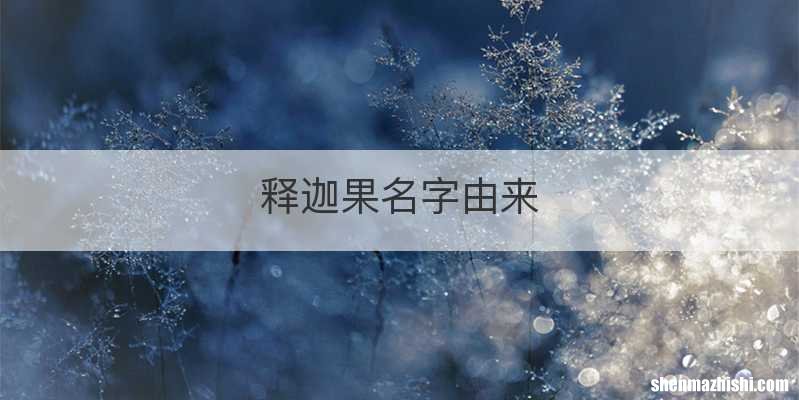 释迦果名字由来