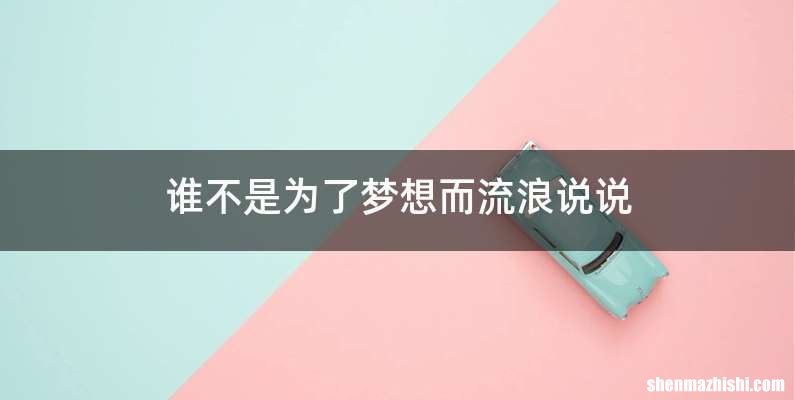 谁不是为了梦想而流浪说说
