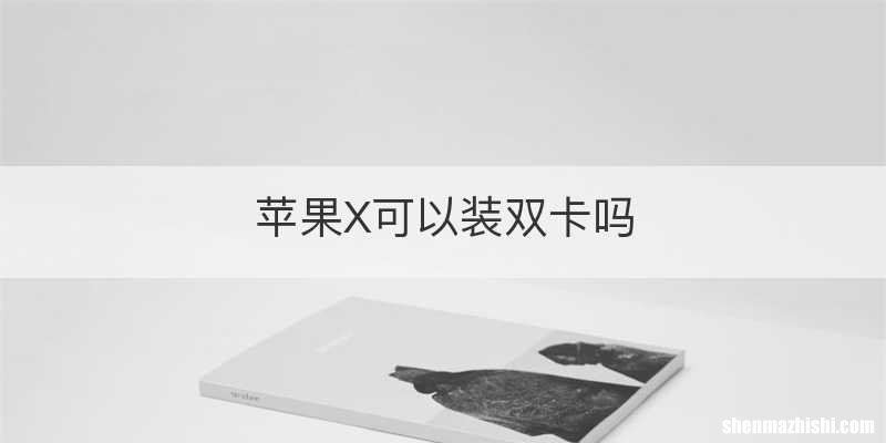苹果X可以装双卡吗