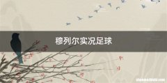 穆列尔实况足球
