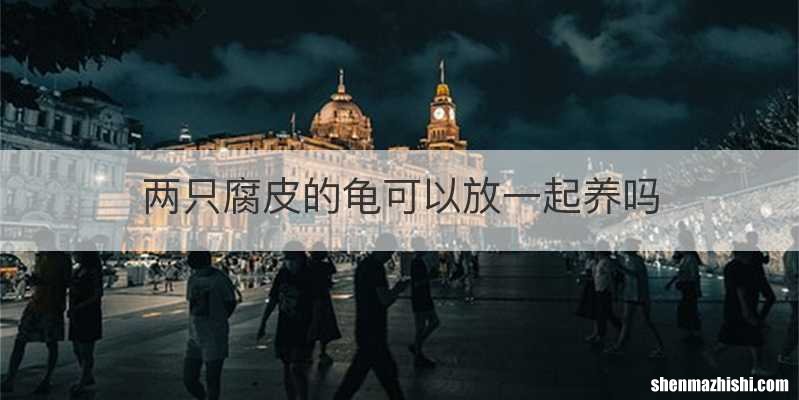两只腐皮的龟可以放一起养吗