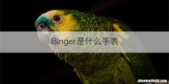 Blnger是什么手表