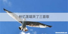 林忆莲唱哭了三首歌