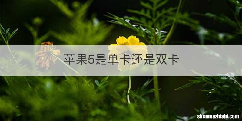 苹果5是单卡还是双卡