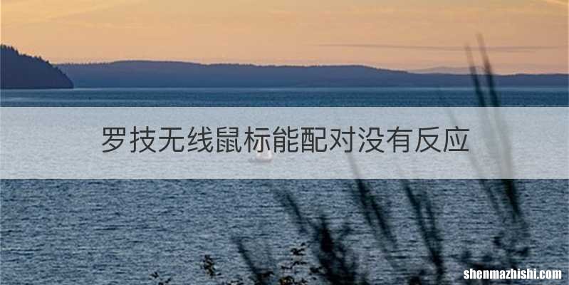 罗技无线鼠标能配对没有反应