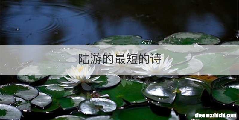 陆游的最短的诗