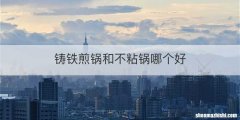 铸铁煎锅和不粘锅哪个好