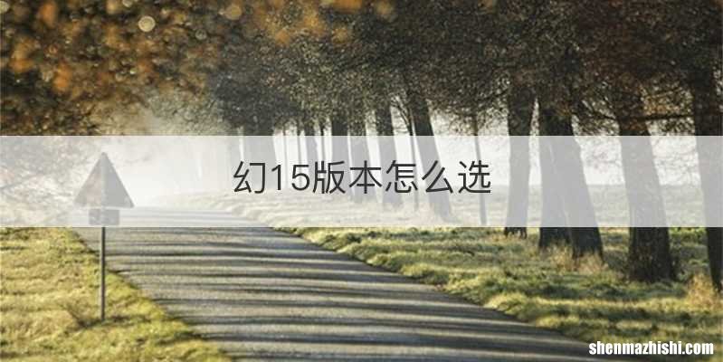 幻15版本怎么选