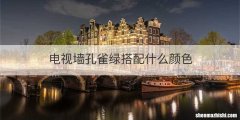 电视墙孔雀绿搭配什么颜色