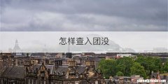 怎样查入团没