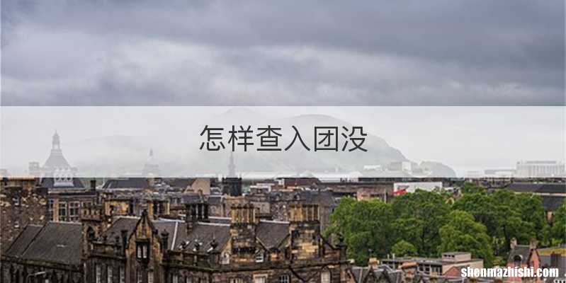 怎样查入团没
