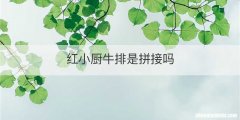 红小厨牛排是拼接吗